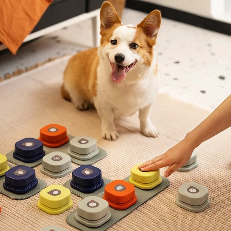 Pet Talk-1