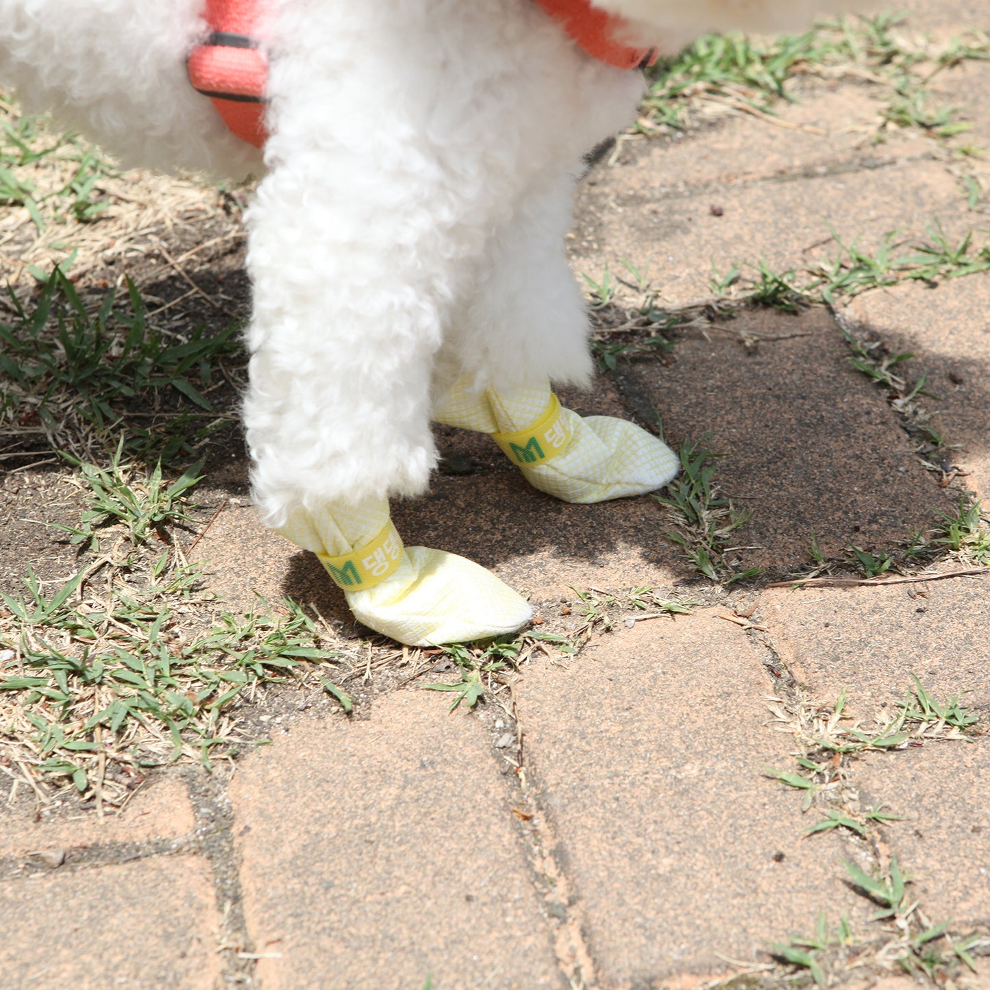 28-Piece Set of Waterproof Dog Boots – Anti-Slip Disposable Pet Socks, Large, Pink