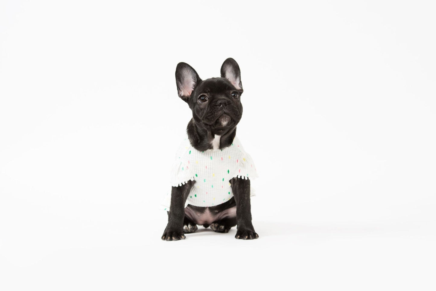 Bohemian Dog Dress-3