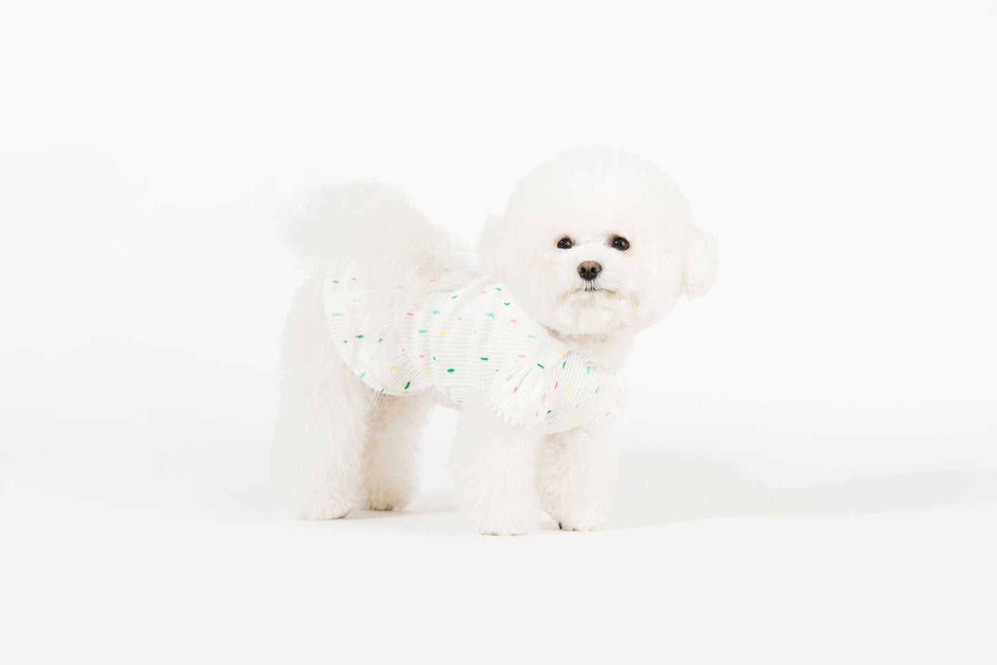 Bohemian Dog Dress-2