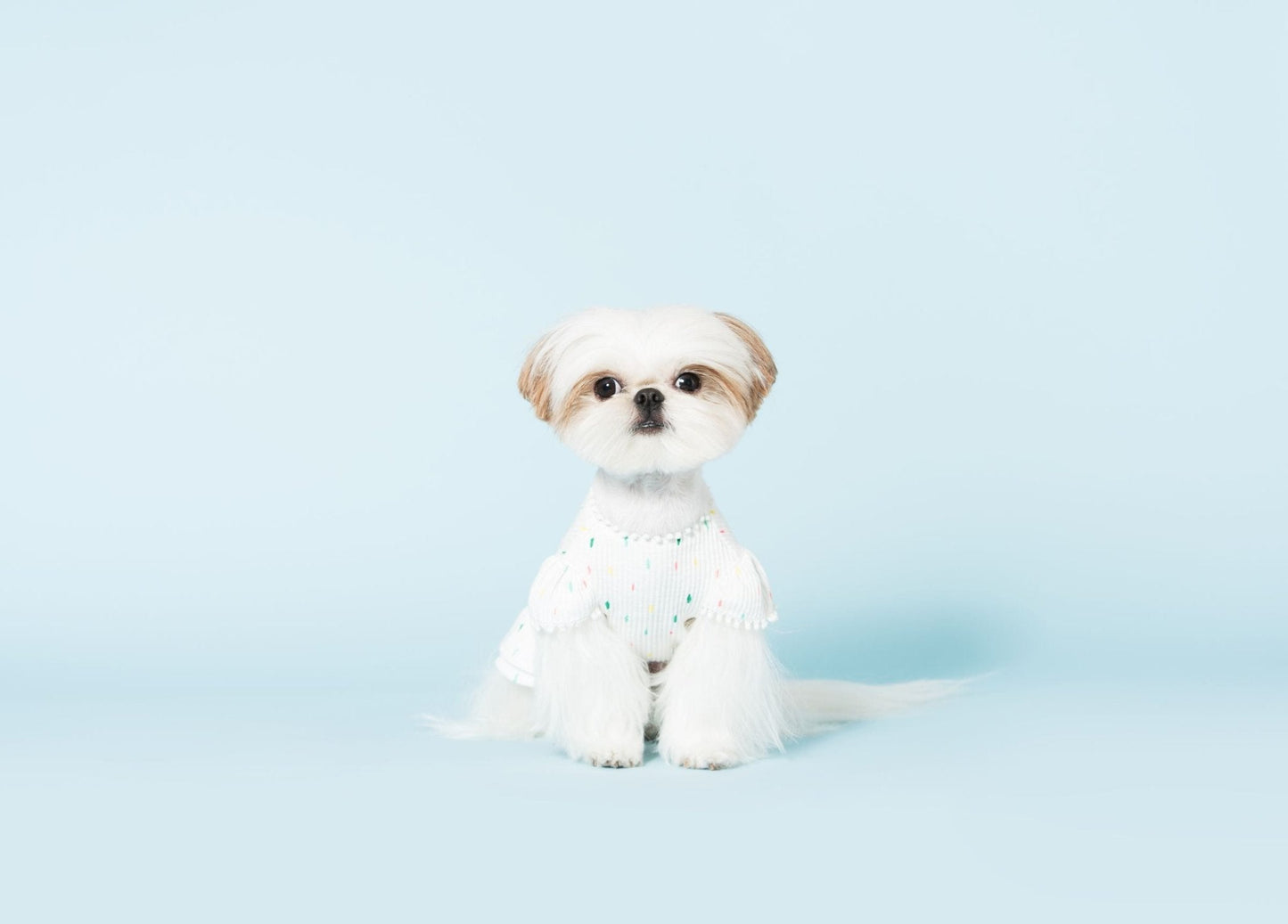 Bohemian Dog Dress-4