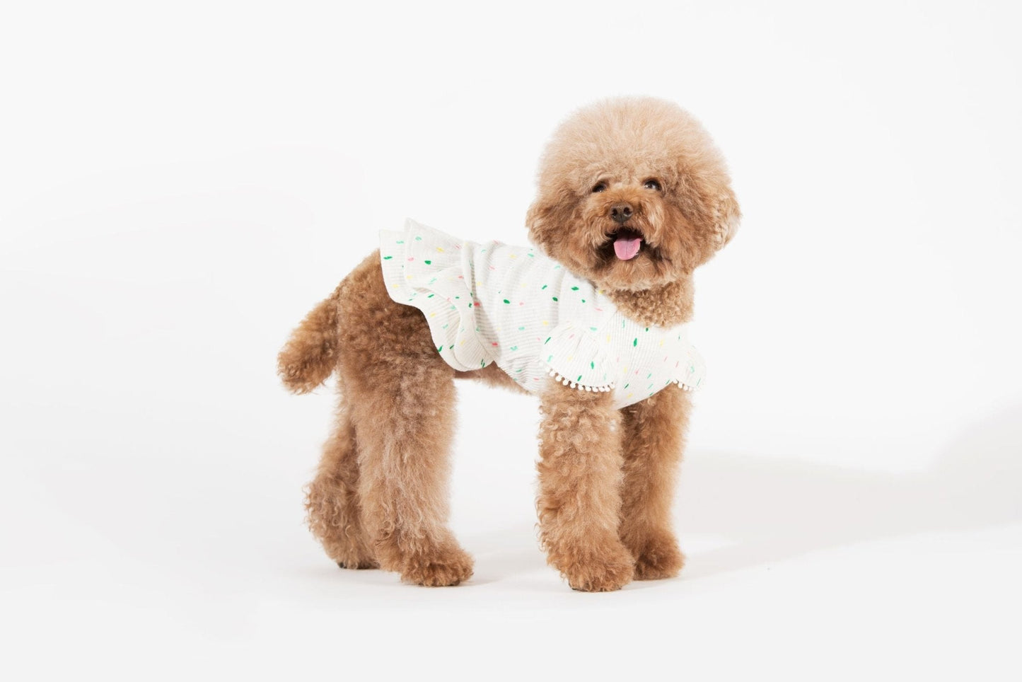 Bohemian Dog Dress-1