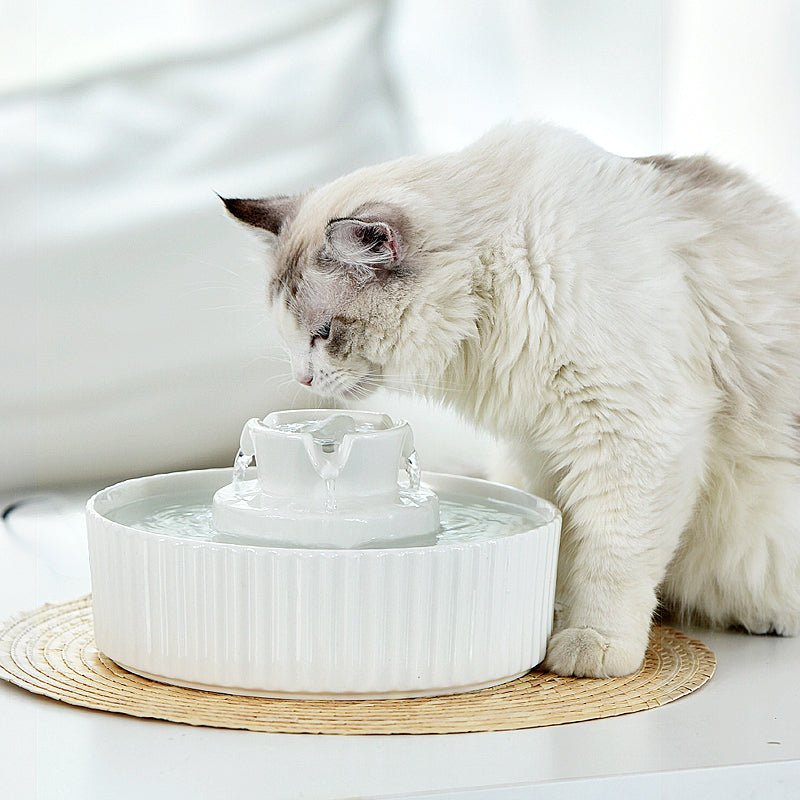 Ceramic Electric Pet Water Fountain 2.1L-2