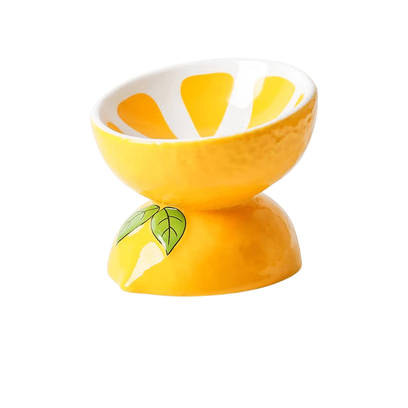 Ceramic Elevated Pet Food Bowl - Lemon-0