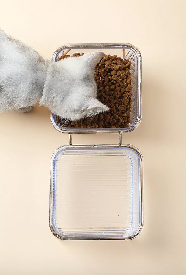 Eva Clear Double Pet Bowl in Gold-1