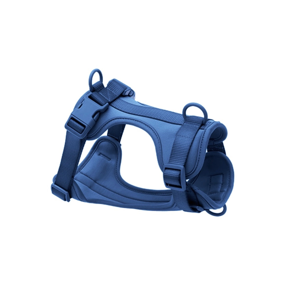 Harness-4