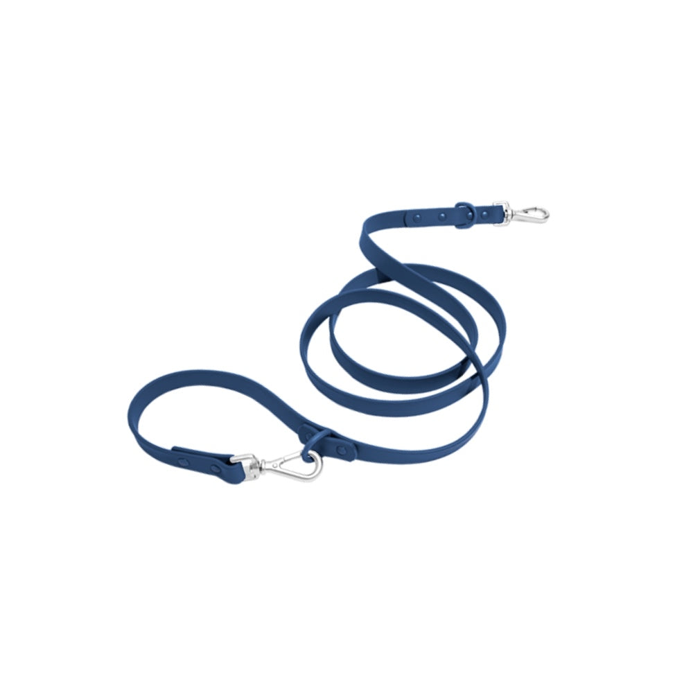 Leash-1