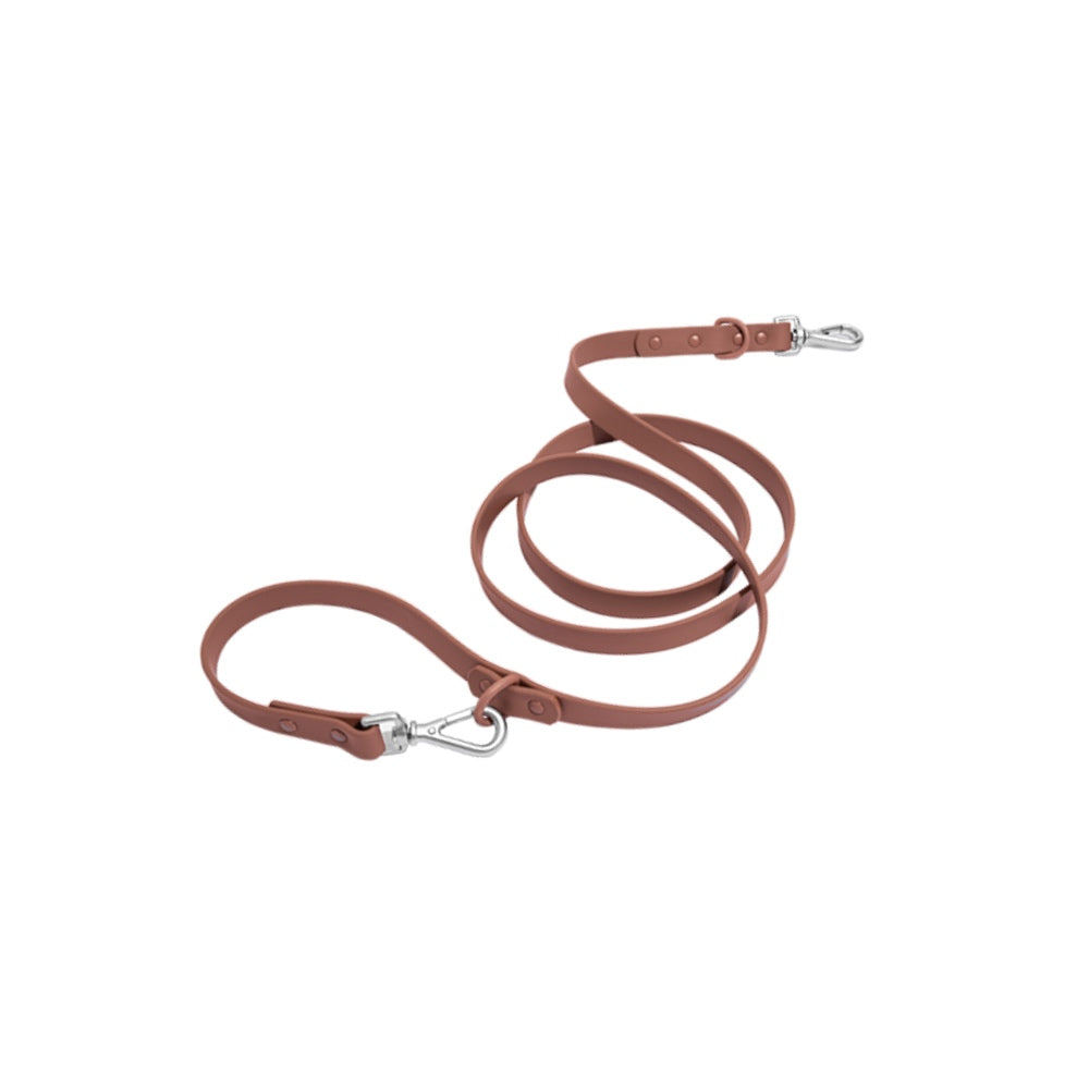 Leash-2