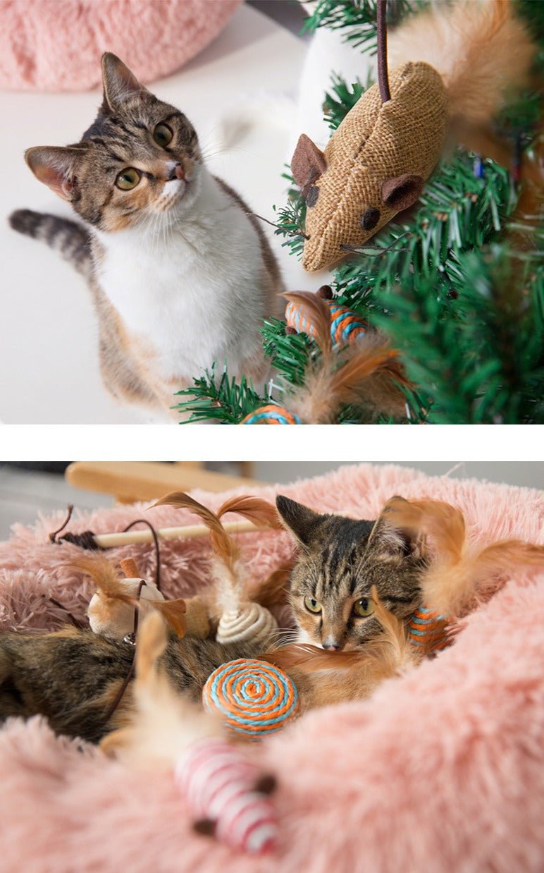 Luxury Cat Toy Box-4