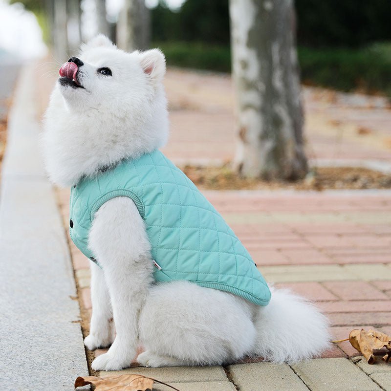 Padded Luxe Dog Vest - Blue-2