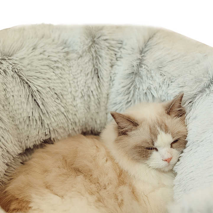 Plush Cat Bed with Hidden Tunnel - Rainbow-3