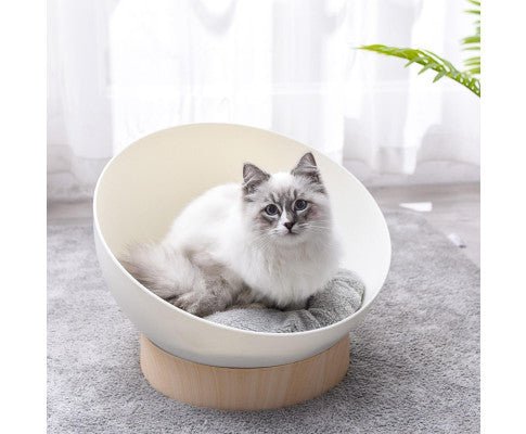Cat Beds