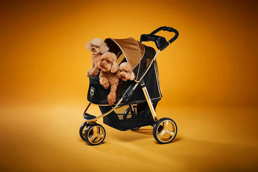 Dog Carriers & Strollers