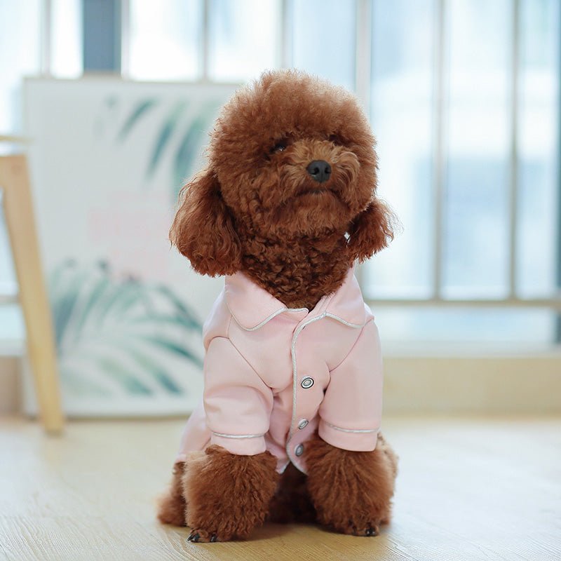 Dog Apparel