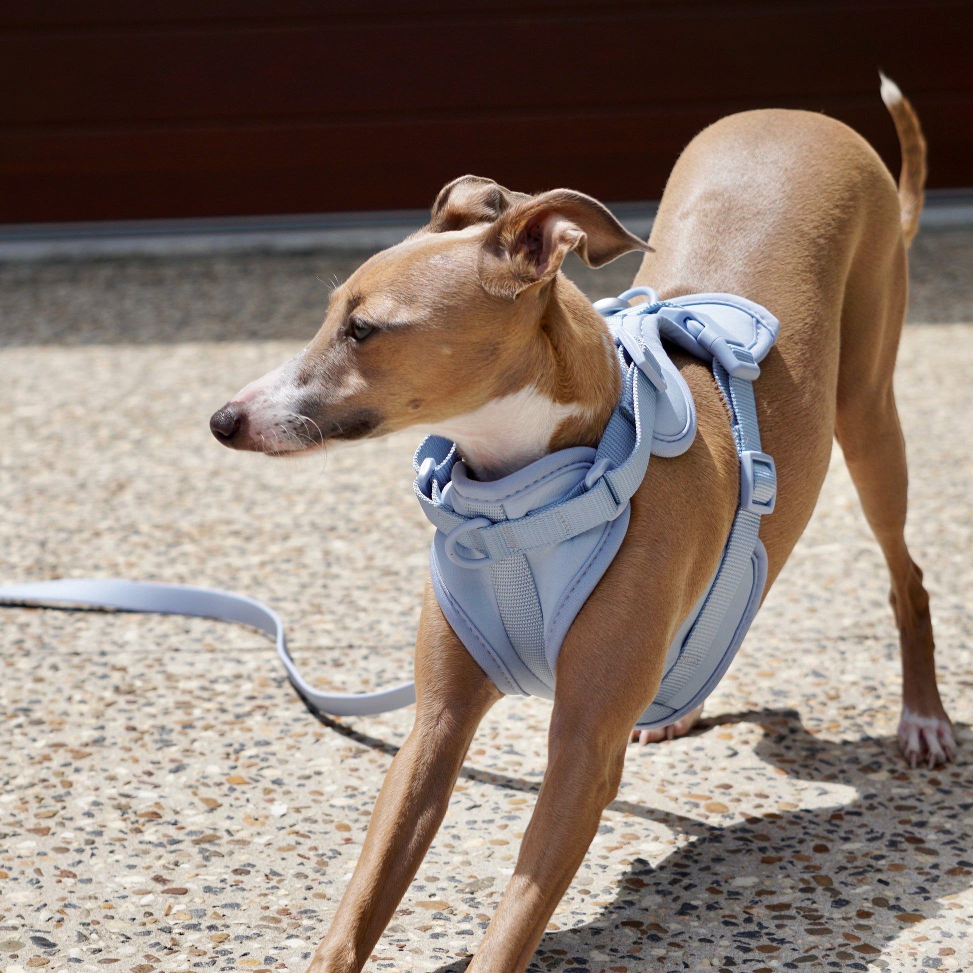 Walking Set-2