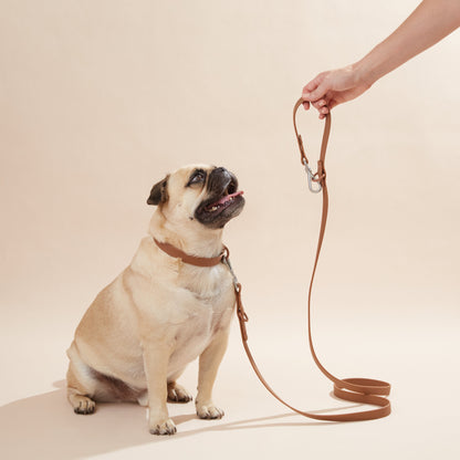 Collar Set-0