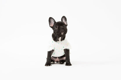 Bohemian Dog Dress-3