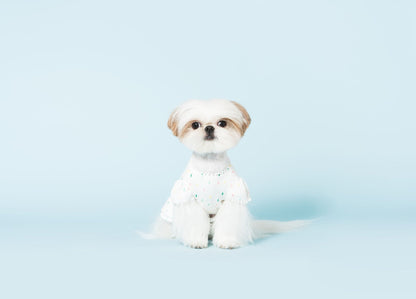 Bohemian Dog Dress-4