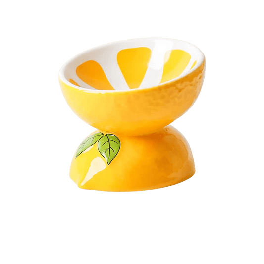 Ceramic Elevated Pet Food Bowl - Lemon-0