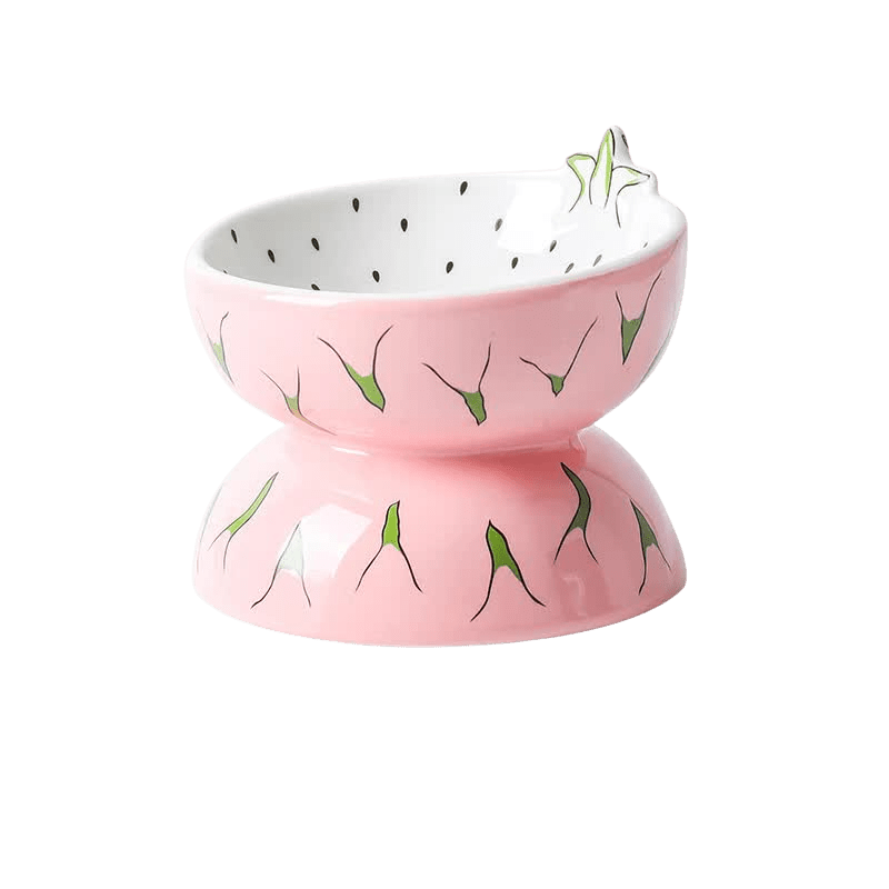 Ceramic Elevated Pet Food Bowl - Pitaya-0