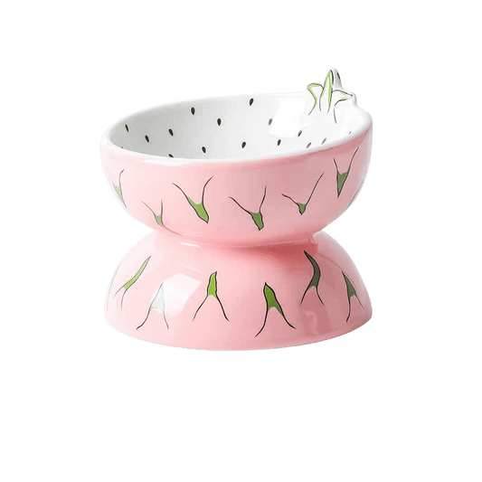 Ceramic Elevated Pet Food Bowl - Pitaya-0