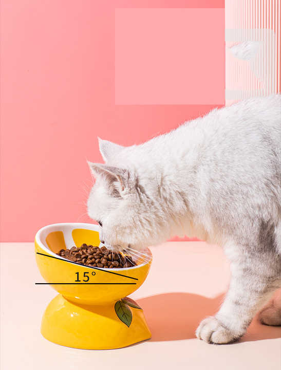 Ceramic Elevated Pet Food Bowl - Watermelon-1