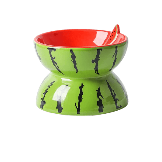 Ceramic Elevated Pet Food Bowl - Watermelon-0