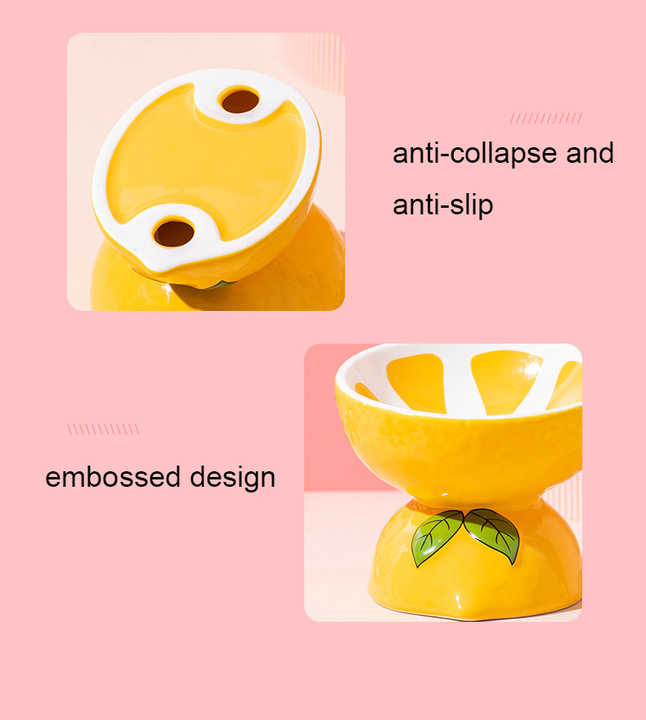 Ceramic Elevated Pet Food Bowl - Watermelon-2