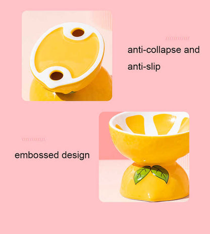 Ceramic Elevated Pet Food Bowl - Watermelon-2