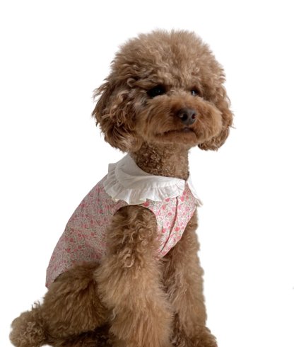 Floral Bohemian Dog Dress-0