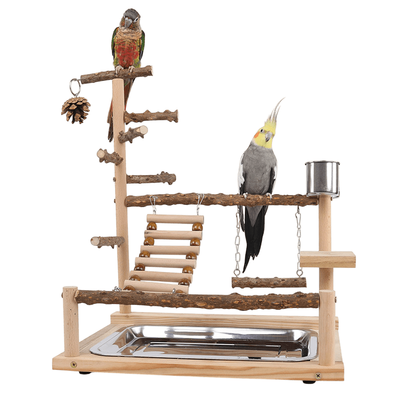 Natural Wooden Bird Play Stand - Multi-Level Parrot Perch with Toys & Ladder-0