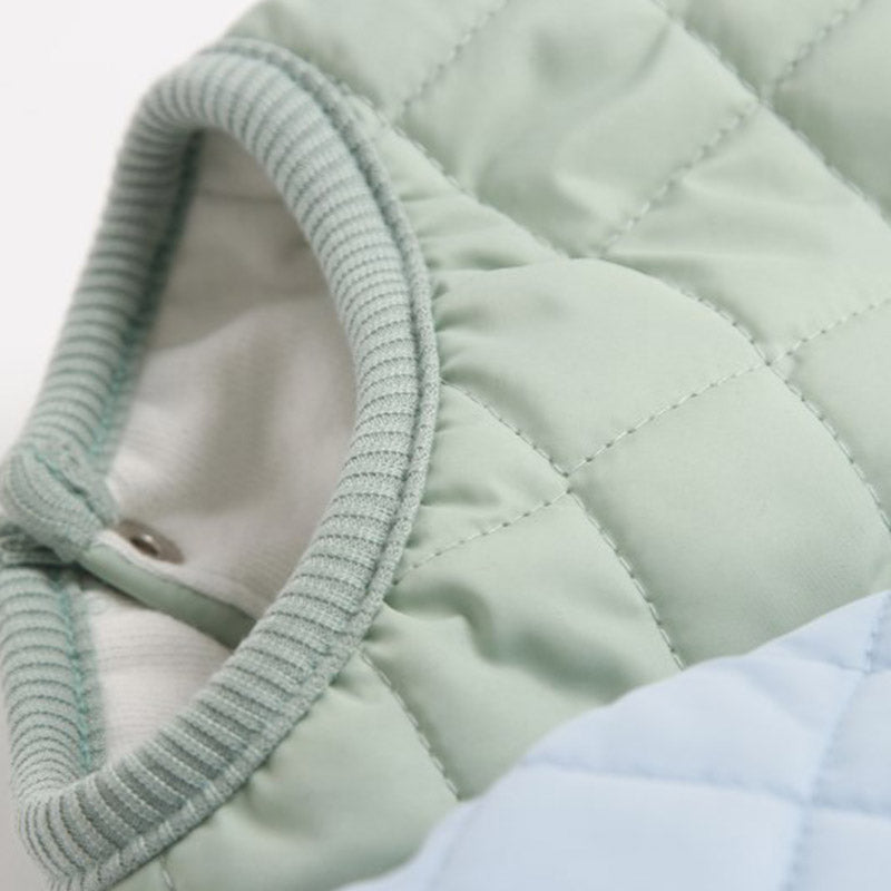 Padded Luxe Dog Vest - Green-4