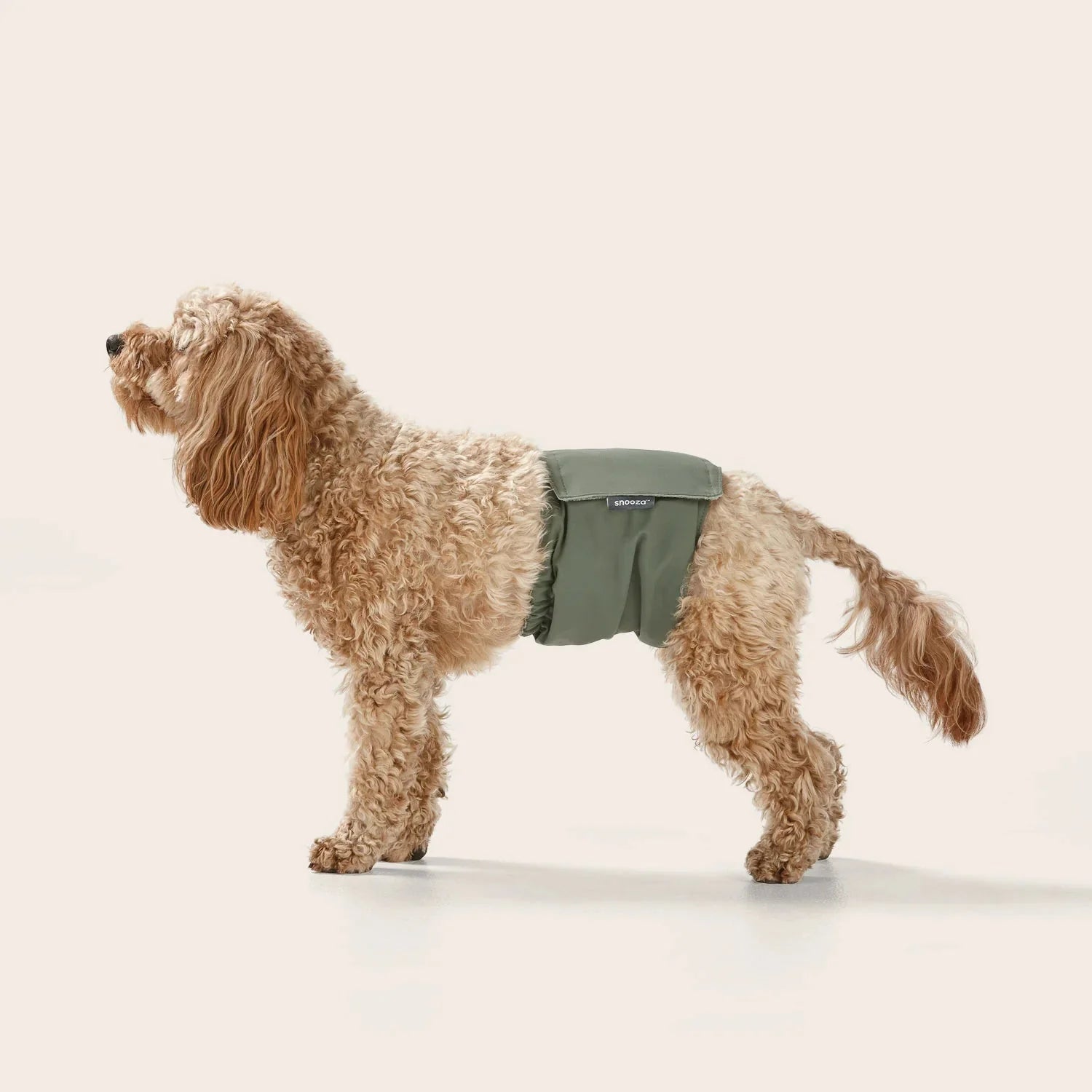 Washable Dog Nappy Band – Twin Pack for Male Dogs-4