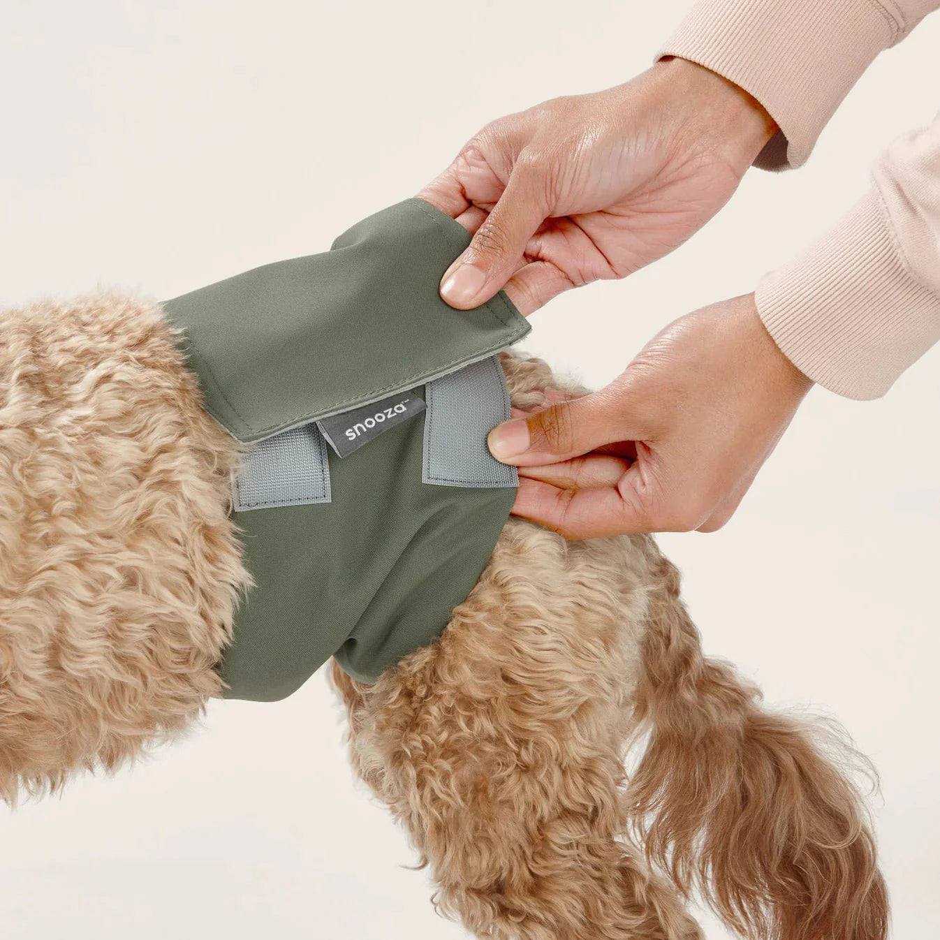 Washable Dog Nappy Band – Twin Pack for Male Dogs-2